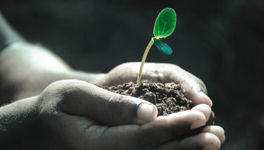 Reviving Soil Health